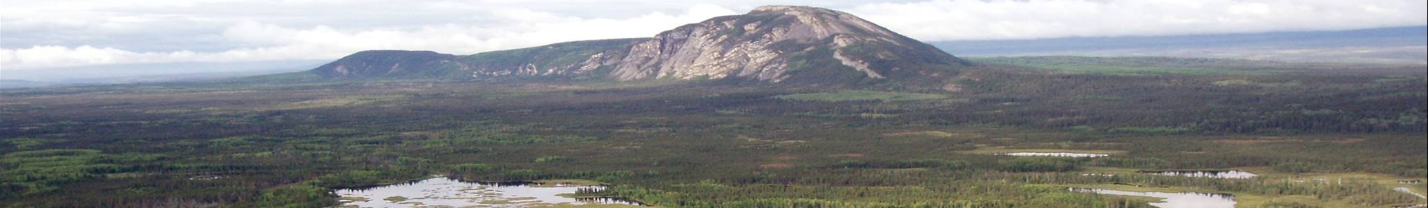 A picture containing grass, mountain, outdoor, sky

Description automatically generated